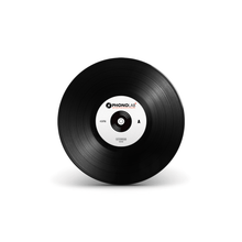 Load image into Gallery viewer, 10" Dub Plate