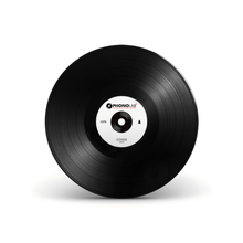 Load image into Gallery viewer, 12" Dub Plate