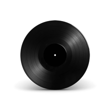 Load image into Gallery viewer, 12" Dub Plate