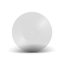 Load image into Gallery viewer, 12" Dub Plate