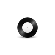 Load image into Gallery viewer, 7" Dub Plate