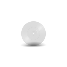 Load image into Gallery viewer, 7" Dub Plate