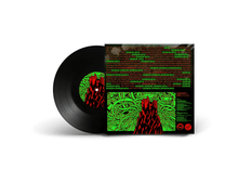 Load image into Gallery viewer, 10&quot; Custom Vinyl Record
